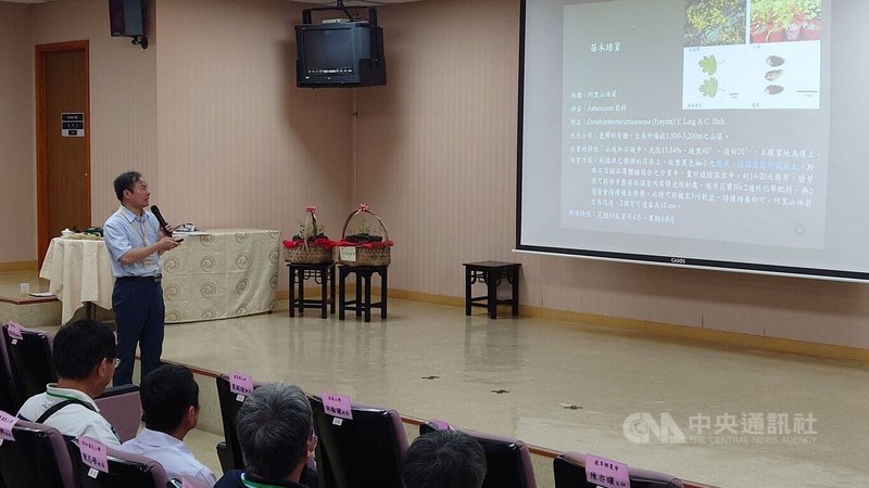 嘉義大學森林暨自然資源學系副教授張坤城(立者)15日說,阿里山油菊原生於海拔1500至3200公尺的山區,但經過馴化發現,在平地也能長得很好,但必須全日照栽培才能開花,可以發展成地方產業。中央社記者蔡智明攝 114年5月15日