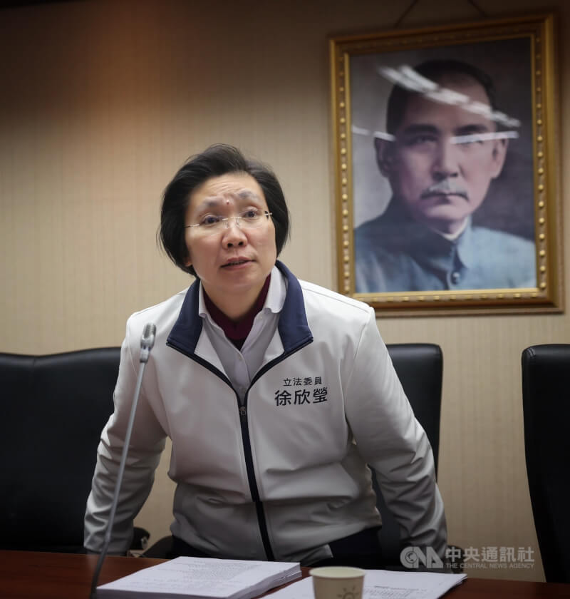 立委徐欣瑩。(中央社檔案照片)