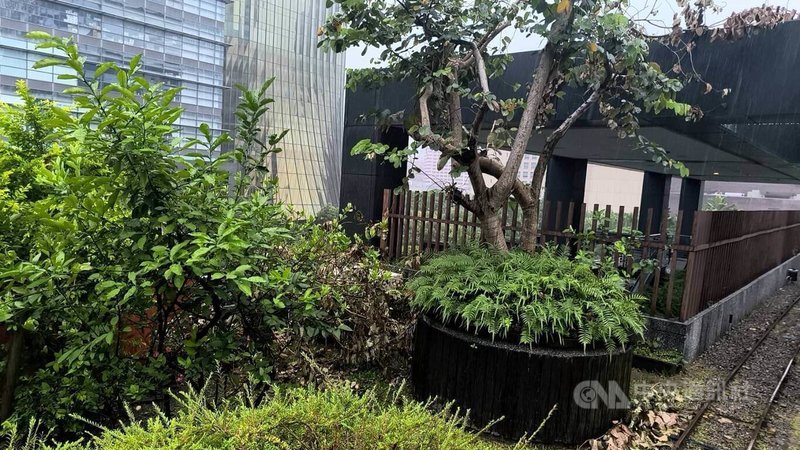 台北市警消18日獲報,指信義區新光三越A8館4樓戶外區有男子陳屍,經查死者為園藝承包商徐姓工人,疑因17日工作時病發猝死。(翻攝照片)中央社記者黃麗芸傳真 114年5月18日