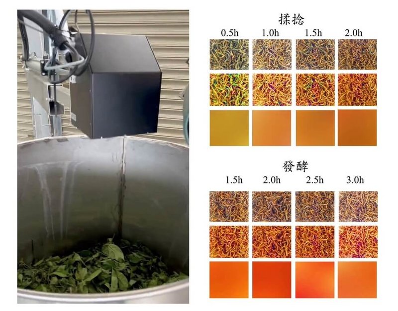 農業部茶及飲料作物改良場成功建置國內首條紅茶AI(人工智慧)生產線,精準控制各項製程,減少人工操作造成的誤差,降低勞力成本並穩定產品品質,提升紅茶市場競爭力。(茶改場提供)中央社記者汪淑芬傳真 114年5月20日