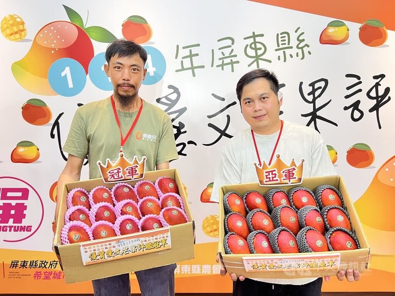 屏東愛文芒果正值盛產期,屏東縣政府舉辦愛文芒果評鑑,由34歲方冠文(左)2度奪下冠軍,而奪得亞軍的盧旺昇(右),其實是方冠文師父。被徒弟打敗,盧旺昇表示,很開心,現在自己以輔導為主,希望屏東的愛文芒果越來越好。中央社記者李卉婷攝 114年5月22日