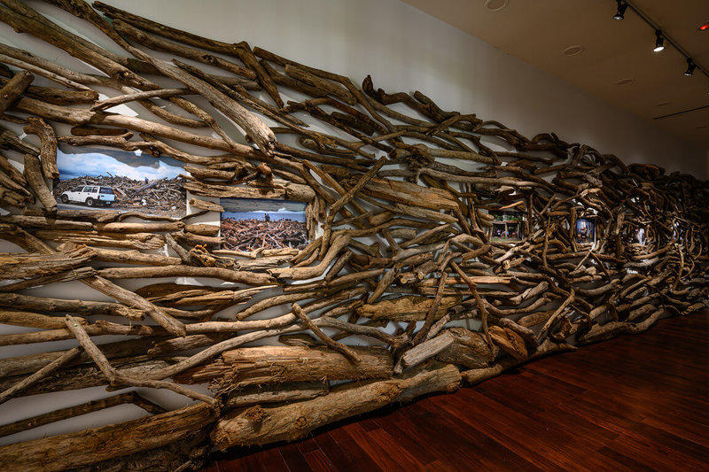 藝術家王煜松與「地震寫生團」合作展出作品「沒有葉子的森林」,以展間回應災後地景中會出現的漂流木,24日起在台北當代藝術館「安全室」展覽登場。(台北當代藝術館提供)中央社記者王寶兒傳真 114年5月23日