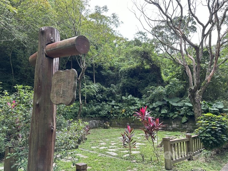 花蓮縣政府農業處26日發布訊息指出，花蓮動植物豐富，民眾若發現無傷雛鳥，可在拾獲處附近自行尋找鳥巢放回去，因不是每隻落單幼雛都需人為介入，親鳥照顧的幼雛鳥存活率更高。圖為鳥類常出現的美崙山公園。中央社記者李先鳳攝  114年5月26日
