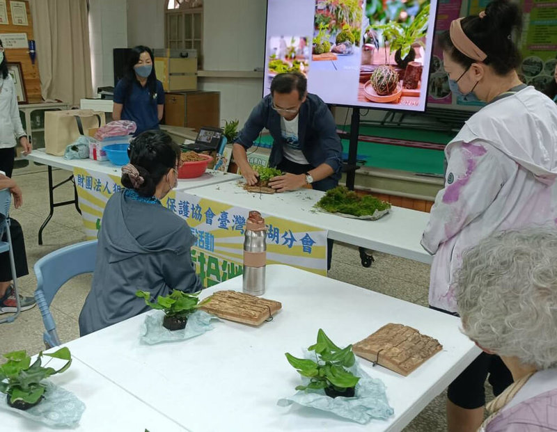 犯罪被害人保護協會澎湖分會為實踐對犯罪被害人及其家屬的身心支持,29日在馬公東衛社區活動中心舉辦「手作上板植栽」活動,邀請馨生人一起體驗手作植栽。(犯保協會澎湖分會提供)中央社 114年5月29日