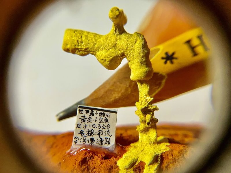 毫芒雕刻家陳逢顯發表作品「懸浮之境」,突破極限雕刻尺寸僅0.3公分的黃金小金魚,以黃金打造水龍頭懸浮空中,飛流而下水柱棲息栩栩如生的微型金魚。(陳逢顯提供)中央社記者黃旭昇新北傳真 114年5月30日