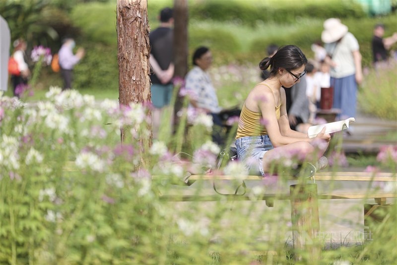 圖為大安森林公園示意圖。(中央社檔案照片)