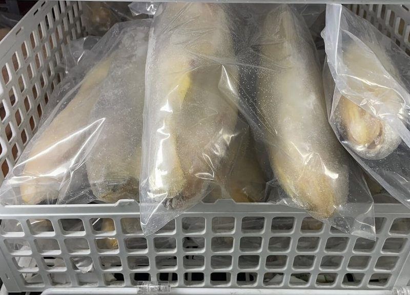 食藥署公布114年3至4月份衛生單位檢測禽畜水產品藥物殘留結果,發現一批從中國進口的小黃魚,驗出動物用藥「恩氟奎林羧酸」違規。(食藥署提供) 中央社記者陳婕翎傳真 114年6月2日