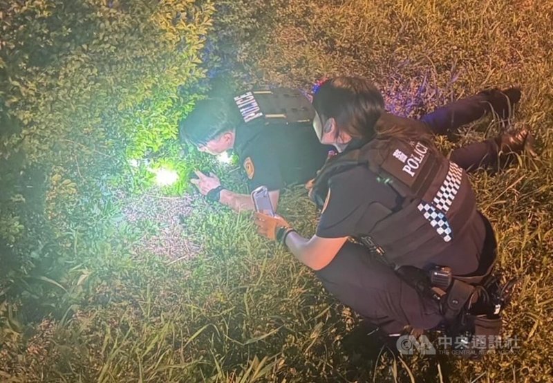 新北市三重警分局厚德派出所員警日前接獲民眾報案,指有幼貓被困在國道三重交流道分隔島草叢內,經員警圍捕並用零食引誘下,順利救出小貓。(翻攝照片)中央社記者王鴻國傳真 114年6月2日