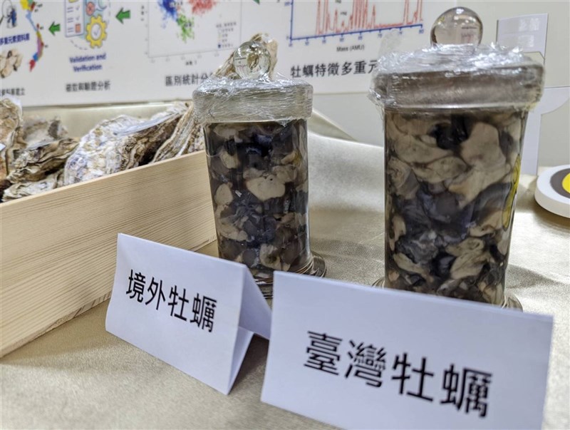台灣牡蠣近幾年因氣候變遷與蟲害而減產,越南等進口牡蠣逐年增加。農業部水產試驗所,與國立台灣海洋大學合作,運用精密科學儀器,揭開本土牡蠣的美味密碼,證實台灣牡蠣口感比進口佳,未來可望透過人工附苗技轉,克服減產挑戰。(中央社檔案照片)