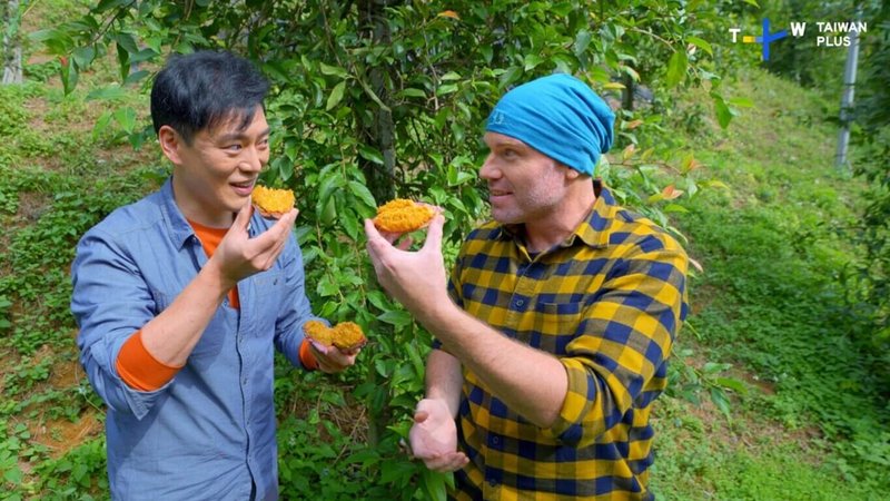 TaiwanPlus推出全新實境行腳節目Botanical Wonders,邀請「亞洲廚神」王凱傑(Jason)(左)、加拿大籍植物生態學家崔佛(Trevor Padgett)(右),深入高山森林,揭開台灣植物的奇幻旅程。(TaiwanPlus提供)中央社記者邱祖胤傳真 114年6月5日
