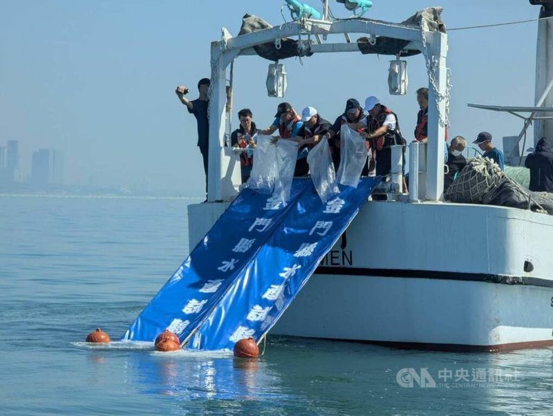 金門縣水產試驗所6日舉辦「2025年世界海洋日金門魚苗放流活動」,在小金門海域放流黑鯛、黃鰭鯛及鳳螺等,盼為資源永續盡一份力。中央社記者吳玟嶸攝 114年6月6日