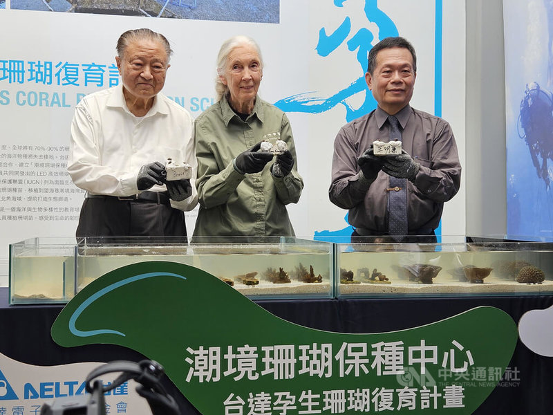 台達集團創辦人、台達電子文教基金會董事長鄭崇華(左起)與國際知名生態學家珍古德、國立海洋科技博物館館長王明源,6日宣布3方合作,啟動珊瑚復育的教育推廣。中央社記者曾仁凱攝 114年6月6日