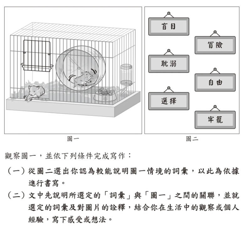 114年國中會考寫作測驗要考生觀察籠中2隻小動物,並從6個詞彙中選擇適合的詞彙描述。(圖取自會考網頁cap.rcpet.edu.tw)