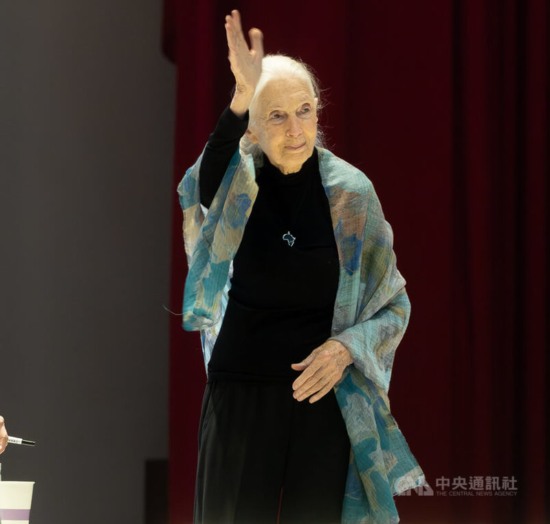 珍古德教育及保育協會邀請國際知名靈長類動物學家珍古德(Jane Goodall)(圖)訪台,8日在北科大演講「透過行動點燃希望」,與大眾分享她畢生行動歷程,以及台灣在國際保育舞台上的重要角色與成果。中央社記者謝佳璋攝 114年6月8日