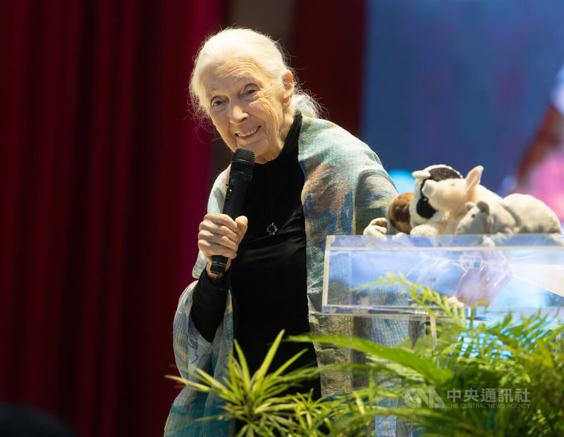 國際知名保育專家珍古德(Jane Goodall)(圖)8日下午在台北出席「透過行動點燃希望」演講活動,分享她的行動歷程,探討生態保育與永續發展等議題。中央社記者謝佳璋攝 114年6月8日