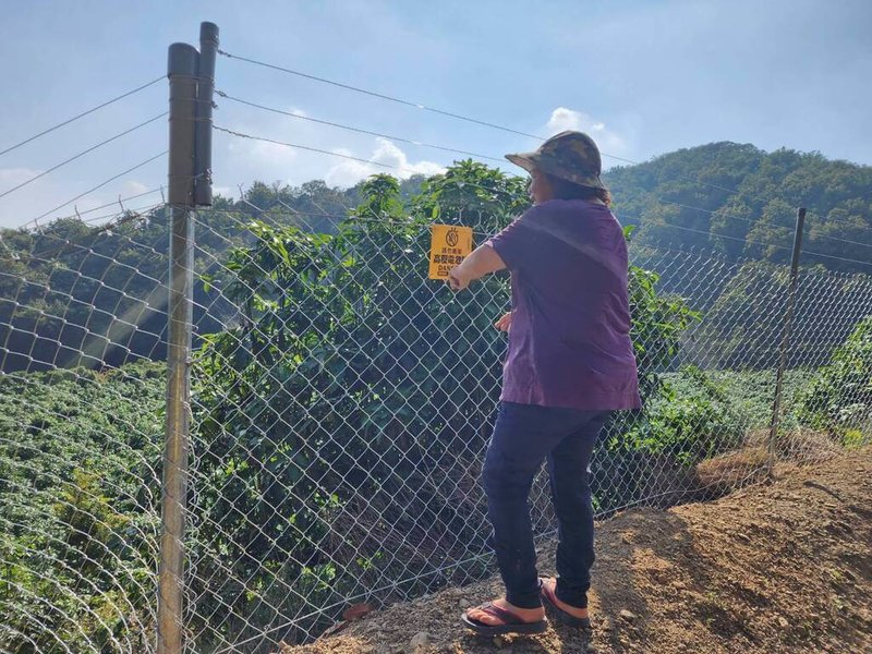 高雄市政府鼓勵農民架設電圍網防治獼猴危害,補助金額最高新台幣23萬元,申請期限至6月底。(高雄市農業局提供)中央社記者蔡孟妤傳真 114年6月9日