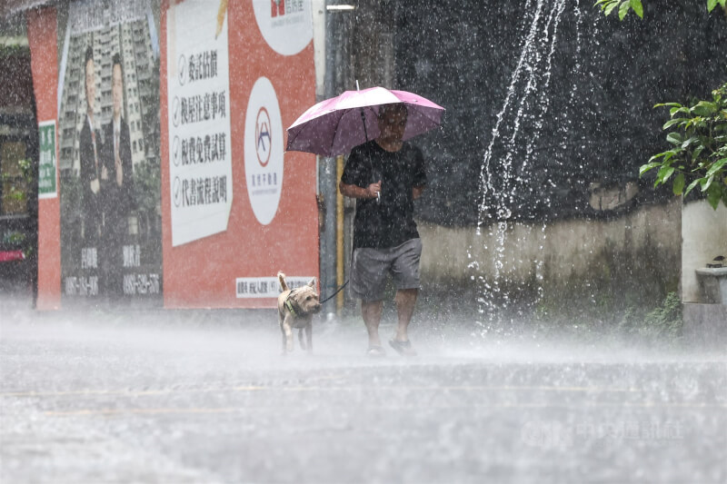 圖為台北市內湖區午後大雨,民眾撐傘遛狗。(中央社檔案照片)