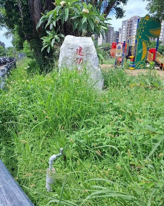 新竹市議會民進黨團10日召開記者會指出,竹市轄內公園雜草叢生、設施破損無人修,甚至有公園入口像「墓仔埔」。(市議員劉彥伶提供)中央社記者魯鋼駿傳真 114年6月10日