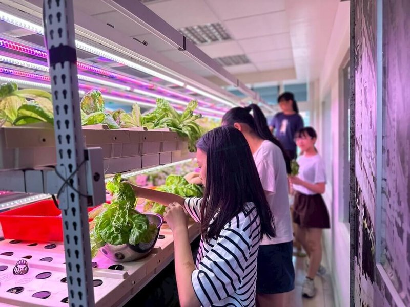 連江縣立介壽國中小職業試探與體驗中心,因應馬祖地區農業腹地與勞動力不足的現況,利用校內防空洞與教室空間設立「農心小學科技農場」。(介壽國中小提供)中央社記者潘欣彤傳真 114年6月11日