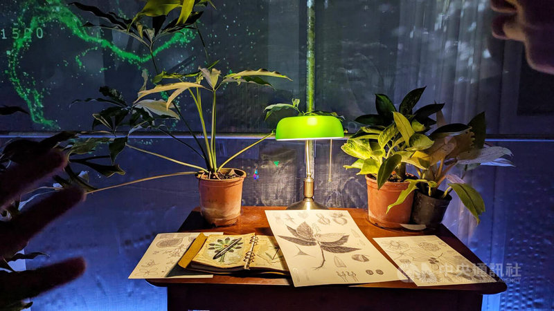 「自造自然-超越有機的共生」展覽,即日起在台北双融域登場,展出植物分類專家林哲緯描繪華萊士秋海棠等植物的繪圖作品,讓人一窺植物研究者工作日常場景。中央社記者王寶兒攝 114年6月11日