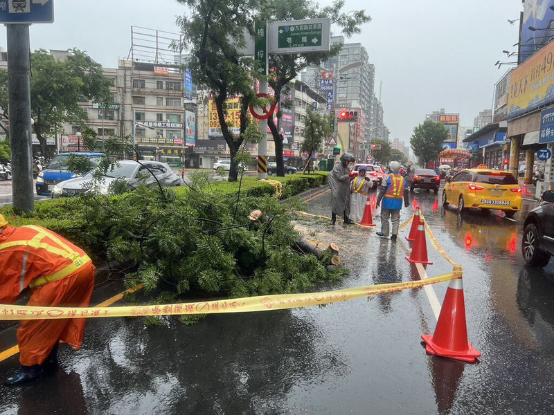 受低氣壓影響,高雄市區13日雨勢未歇,部分區域出現間歇性大風,三民區九如一路、大順二路交界處也發生樹倒情形,幸無傷及人車,警方已到場處理。(警方提供)中央社記者林巧璉傳真 114年6月13日