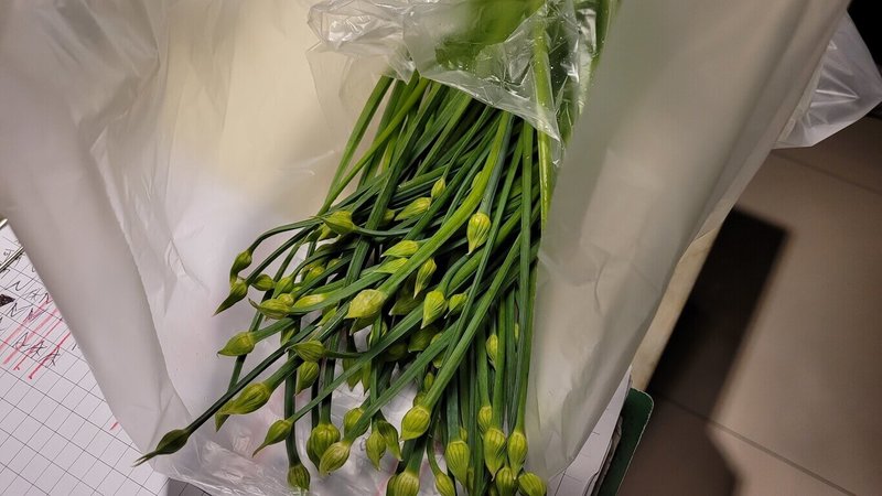 台北市衛生局13日公布最新生鮮蔬果殘留農藥抽驗結果,51件產品中有13件不合格,包含4件韭菜花檢出農藥殘留超標,許多賣場及知名餐廳都有產品不合格。(台北市衛生局提供)中央社記者陳昱婷傳真 114年6月13日