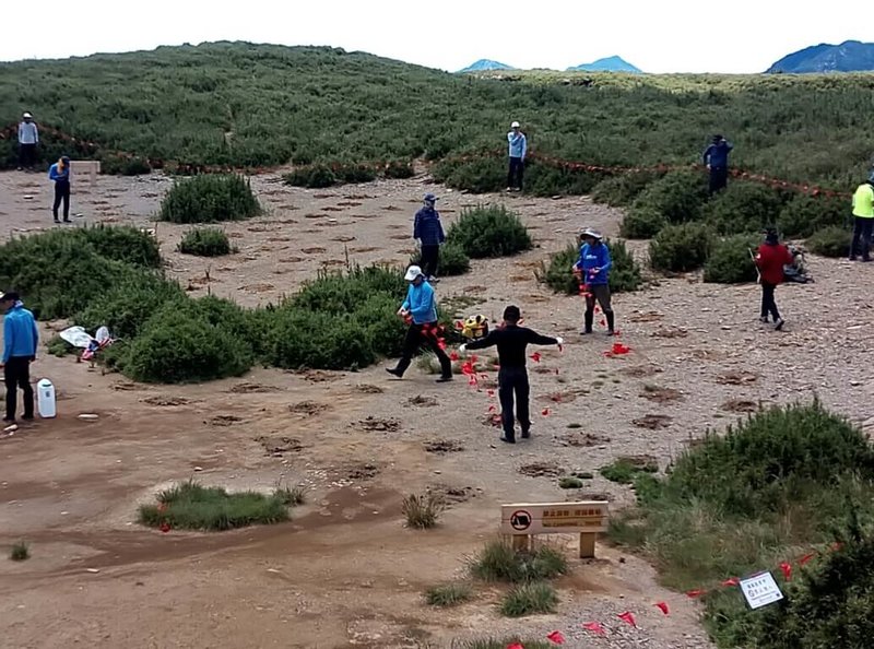 太魯閣合歡北峰小溪營地雖稱為「營地」,但並未開放露營,地面因長期踩壓光禿裸露,太魯閣國家公園管理處2023年起試辦原生植栽復育,在最大裸露區域種植約200棵,且圈圍保護。(太管處提供)中央社記者張祈傳真 114年6月17日