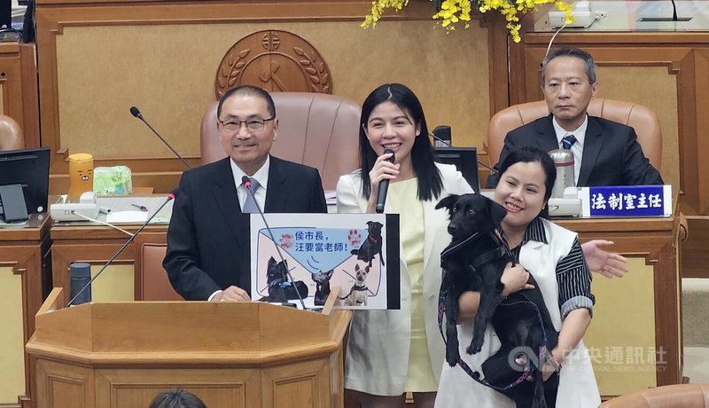 新北市議員宋雨蓁(前右1)、戴湘儀(前右2)帶著輔助犬(心輔犬)向市長侯友宜(左1)遞交「狗狗求職信」,希望市府在教育體系導入動物輔助介入,搶救在學業壓力下為情緒、心理問題困擾的青少年。中央社記者王鴻國攝 114年6月18日