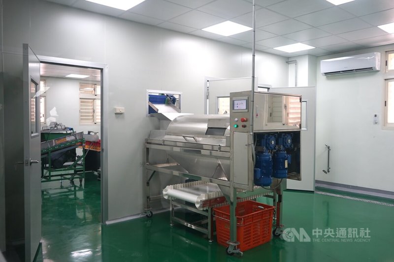 農業部補助花蓮瑞穗鄉興建農業推廣中心及文旦加工廠,可提供分級、精油及果肉萃取,1個月採收期可加工650公噸文旦柚。20日正式啟用。中央社記者張祈攝 114年6月20日