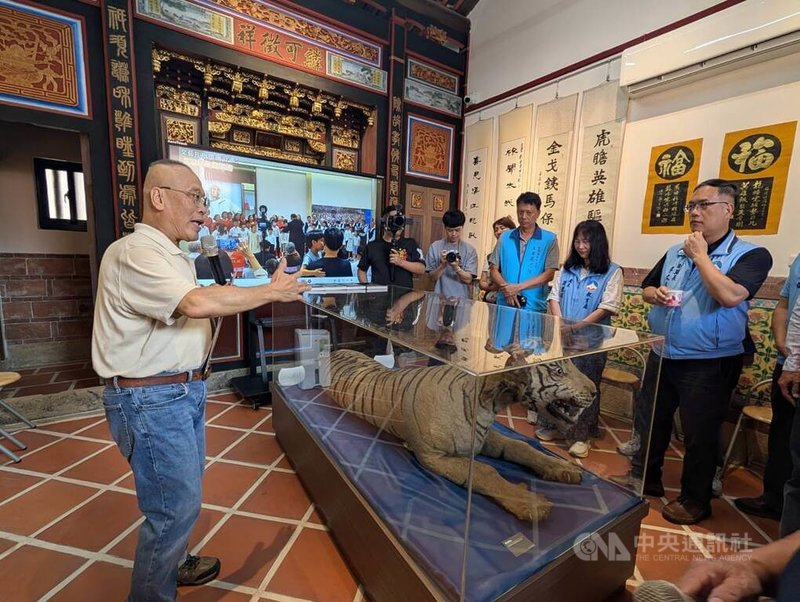 為緬懷前金防部司令胡璉對金門建設與防衛貢獻,胡璉文化藝術基金會22日在金湖鎮塔后舉行胡璉學堂開幕式,學堂內也展出其相關文物,包括胡璉駐越南大使時期僑領贈送的老虎標本等。中央社記者吳玟嶸攝 114年6月22日