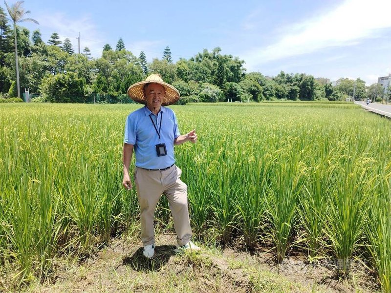 投入鐵道工作45年的宋鴻康(圖)在2020年7月自台鐵機務處長退休後,除在大學兼課,也返鄉種稻,農家出身的他對田間工作很快上手,巡田、灌溉、除草都自己來,讓父親的稻田繼續維持盎然生機。中央社記者汪淑芬攝 114年6月22日