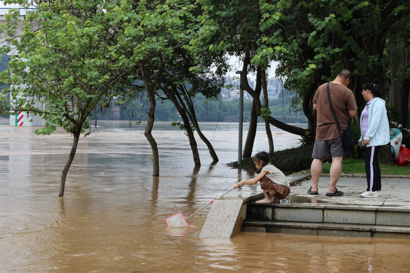 廣西柳州市21日沿江低窪地段淹水,民眾在淹水路段撈魚。(中新社)