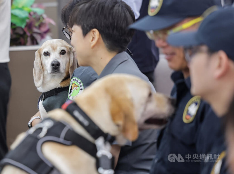 農業部23日在台北松山機場舉行「公私協力守護國家汪汪隊!全台首創執勤犬專屬保險上路」記者會,宣布推動檢疫、緝毒、搜救等執勤犬強制納保,南山產險開發專屬保單將上路,執勤犬退役後醫療也擬納保。中央社記者裴禛攝 114年6月23日