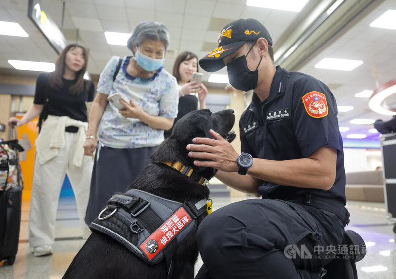 檢疫、緝毒、搜救等執勤犬,扮演維護公共安全角色,但以往被排除在寵物保險外。農業部23日在台北舉行記者會,宣布推動執勤犬強制納保,南山產險開發專屬保單將上路,執勤犬退役後醫療也擬納保。圖為領犬員在記者會現場安撫執勤犬情緒。中央社記者裴禛攝 114年6月23日