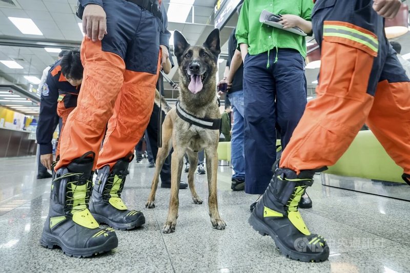 「守護國家汪汪隊,執勤犬啟動全面納保」執勤犬保險啟動記者會23日在台北松山機場舉行,農業部攜手南山產物推動執勤犬專屬保險,納保項目包含門診、住院及手術費用,並將戰爭及天災等情況自共同不保事項排除,以貼合執勤犬勤務性質需求。中央社記者裴禛攝 114年6月23日
