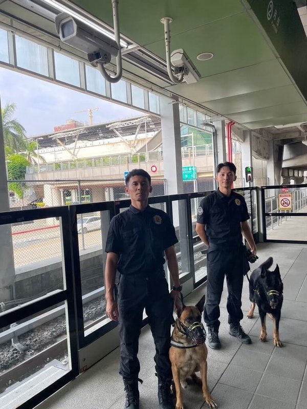 台中市警犬隊的2隻偵爆犬Audi(後)與Ninja(前)光榮退役,市警局23日公布,2犬分別由來自宜蘭與桃園的熱心民眾認養,將安享退休生活。(警方提供)中央社記者郝雪卿傳真 114年6月23日
