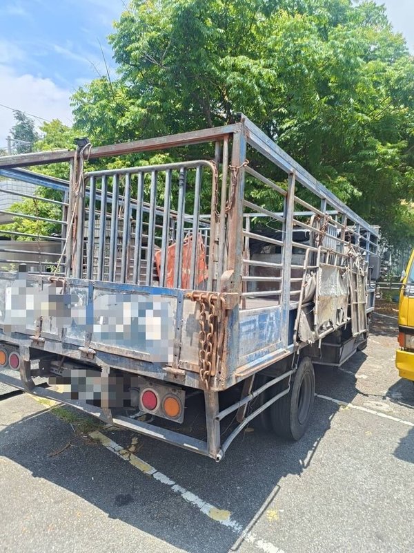 陳姓男子23日駕駛大貨車從苗栗三義載運豬隻準備前往苗栗肉品市場,行經國道1號北上142.8公里銅鑼路段時,其中一隻黑豬自車斗掉落,造成2部車輛為閃避煞停追撞,所幸無人受傷。(警方提供)中央社記者管瑞平傳真 114年6月23日