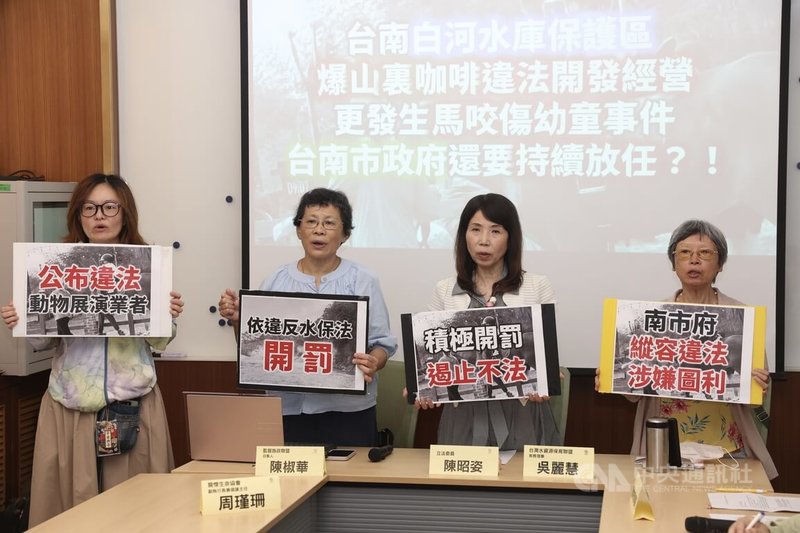 監督施政聯盟召集人陳椒華（左2）偕同民眾黨立委陳昭姿（右2）24日在立法院舉行記者會，指稱山裏咖啡涉嫌違法營業，要求中央主管機關農業部動保司及農村水保署等加緊督導，促使台南市政府依法裁罰。中央社記者吳家昇攝 114年6月24日