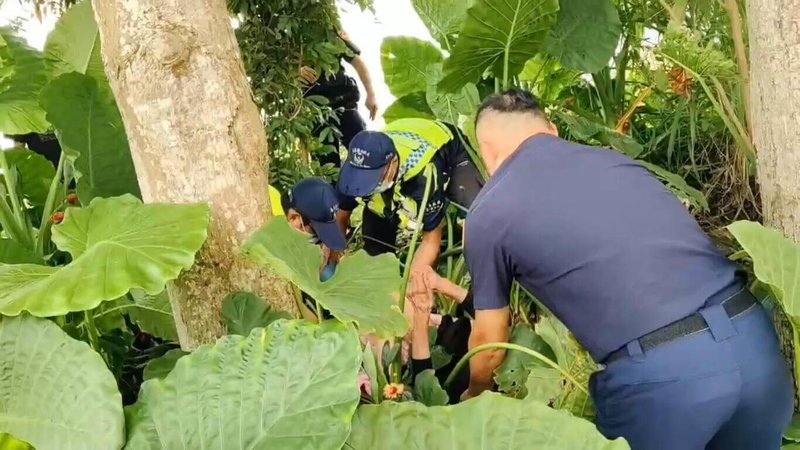 嘉義市90歲蔡姓老婦22日凌晨獨自離家失蹤,警方獲報展開地毯式搜尋,23日在八掌溪堤防旁草叢間發現滿身擦傷被蒼蠅縈繞的老婦,緊急送醫急救。(警方提供)中央社記者蔡智明傳真 114年6月24日