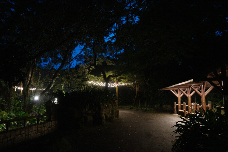 台北市立動物園表示,從7月5日到8月23日共8個週六,園區從原本開放到傍晚5時,延長至晚間9時。(台北市立動物園提供)中央社記者楊淑閔傳真 114年6月25日