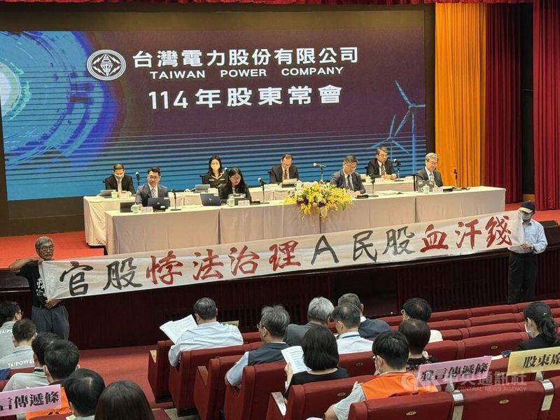 台電舉辦2025年度股東常會,有小股民希望台電買回民股,台電表示,經濟部已函文希望台電先改善虧損再討論此議題。中央社記者曾智怡攝 114年6月27日