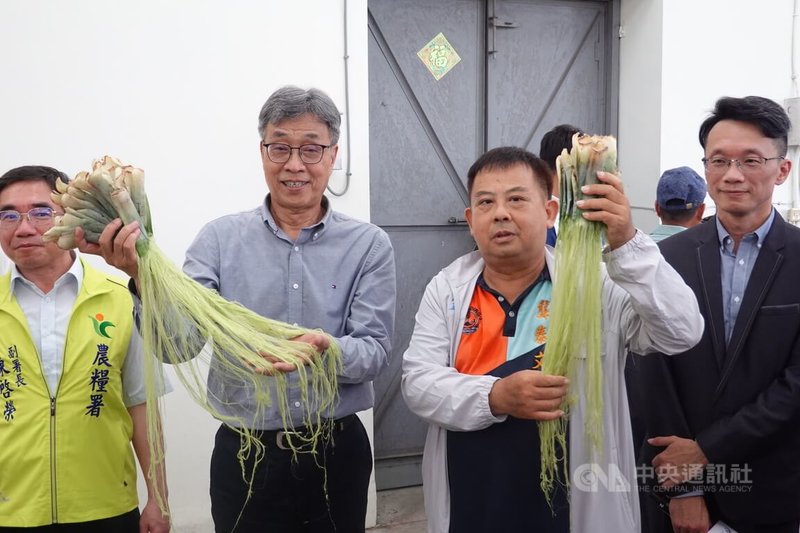 農業部長陳駿季(左2)27日參觀屏東九如鄉農會鳳梨葉自動化取纖維設備,手拿著完成取纖的鳳梨葉,大讚將鳳梨全株利用是循環農業具體成果。中央社記者李卉婷攝 114年6月27日