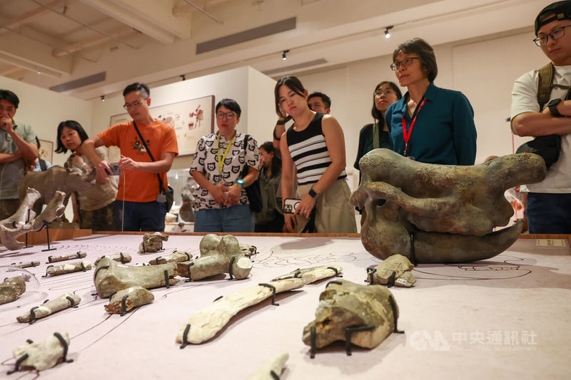 台灣博物館犀牛主題特展「臺灣有犀」27日舉行開幕典禮,展覽以1972年的犀牛化石挖掘事件為起點,復刻曾展出的經典場景,並集結多件重量級標本等,吸引民眾前往參觀。中央社記者王騰毅攝 114年6月27日