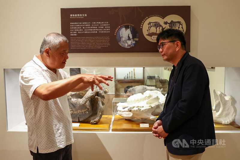 國立台灣博物館犀牛主題特展「臺灣有犀」27日舉行開幕典禮,館長陳登欽(右)出席,在展區與1972年的犀牛化石發現者陳世明(左)對談交流。中央社記者王騰毅攝 114年6月27日