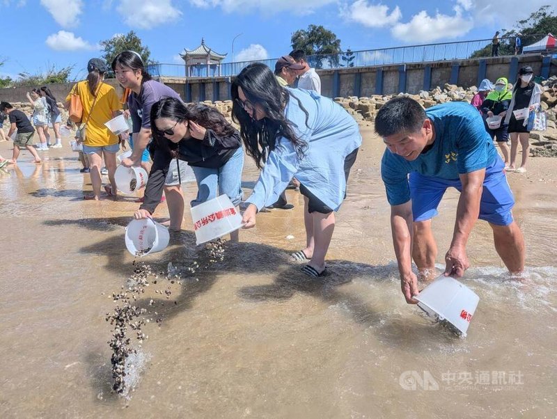 2025金湖海灘花蛤季將登場,金湖鎮公所28日舉辦花蛤季蛤苗放流活動,許多民眾頂著豔陽在成功海灘響應,將一桶桶花蛤苗放流至大海。中央社記者吳玟嶸攝 114年6月28日