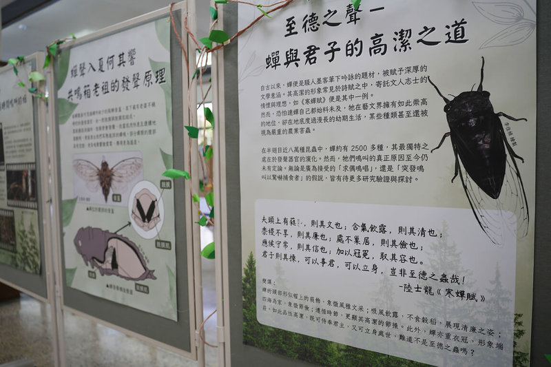 由中興大學昆蟲系學會主辦的昆蟲展即日起到7月6日在興大惠蓀堂展出,展覽以「文藝蟲興」為主題,讓參觀者從詩詞、繪畫中認識昆蟲。(中興大學提供)中央社記者郝雪卿傳真 114年6月28日