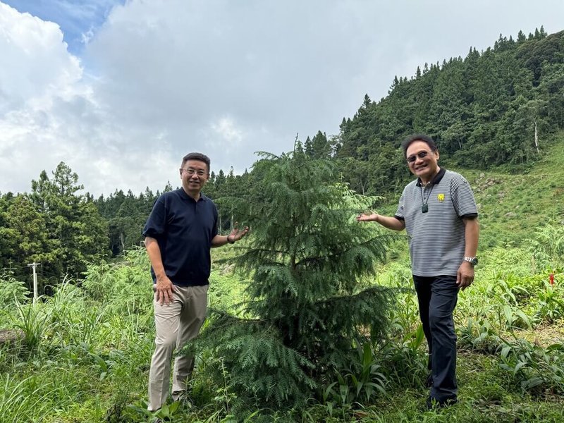 農業部林業及自然保育署長林華慶（左）與原住民族委員會主任委員曾智勇Ljaucu‧Zingrur（右）29日前往苗栗縣南庄鄉蓬萊村，參訪「山林共管－共創部落多元綠色經濟」推動成果，走訪賽夏族國有林台灣杉造林地。（原民會提供）中央社記者汪淑芬傳真  114年6月29日