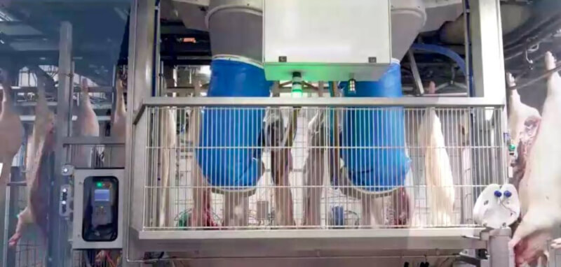 肉品大廠嘉一香在雲林籌設全國首間AI自動化屠宰場,最近獲得用地許可,新廠預定116年營運。圖為業者參考的國外AI自動化屠宰場。(嘉一香提供)中央社記者汪淑芬傳真 114年6月29日
