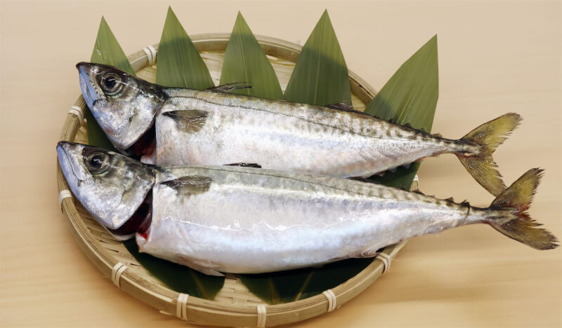 中國海關總署宣布,即日起有條件恢復日本部分地區水產品進口,但福島縣、東京都等10個都縣仍維持進口禁令。圖為褔島產鯖魚。(共同社)