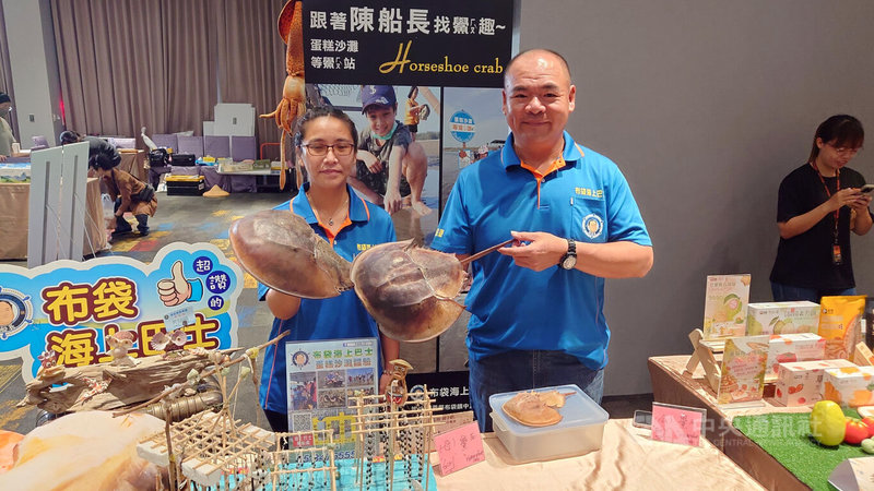 嘉義縣政府推「FUN暑假暢玩自駕遊」,1日舉行活動記者會,布袋海上巴士業者在現場擺攤,展示鱟的外殼,指布袋的沙灘有機會見到「海洋活化石」鱟。中央社記者蔡智明攝 114年7月1日